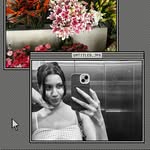 dishasmohanty profile picture