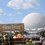 disneyworldforeveryone profile picture