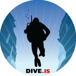 dive.is profile picture