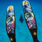 diver.usa profile picture