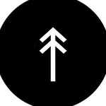 divine.forests profile picture