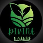 divi_nen_ature profile picture