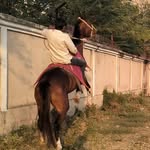 divyesh_aayar_1 profile picture