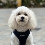 djminimatt profile picture