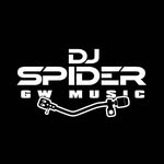 djspider411 profile picture