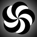 dnhm.official profile picture