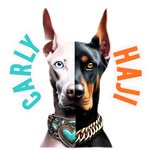 doberman_carly_haji profile picture