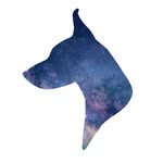 dobermangalaxy profile picture