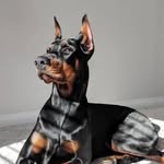 doberman__ig profile picture
