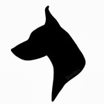 doberman_worldwide profile picture