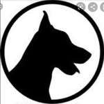 dobieteam profile picture