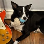 dobro_eddie profile picture
