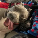dodger_daisy_ profile picture