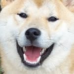 dogep0st profile picture
