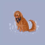 dogfriendlyaustin profile picture