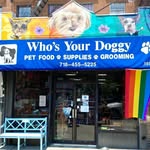 doggybk profile picture