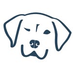 dognamedstella profile picture