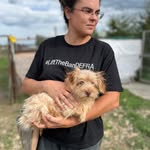 dogood_romania profile picture
