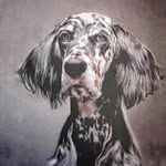 dogphotographernyc profile picture
