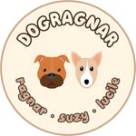 dogragnar_ profile picture