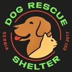 dog_rescue_shelter_serbia profile picture