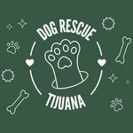 dog_rescuetj profile picture