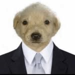 dogs profile picture