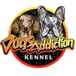 dogsaddiction_dak profile picture