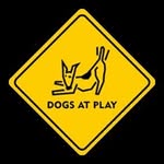dogsatplayroc profile picture