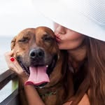 dogseconomics profile picture