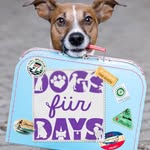 dogsfurdaysrescue profile picture