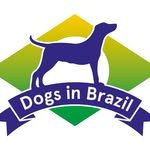 dogsinbrazil profile picture