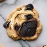 dogs_infood profile picture