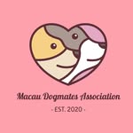 dogsmates_macau profile picture
