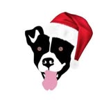 dogsquad_sc profile picture