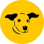 dogstrust profile picture