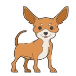 dogszo profile picture