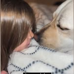 dogtores_owen_care profile picture