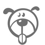 dogtownmiami profile picture