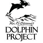dolphin_project profile picture
