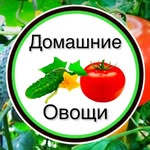 domashnie_ovoschi profile picture
