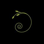 domenica_fiore profile picture