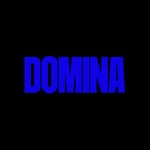 domina_journal profile picture