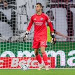 dominik_greif profile picture
