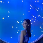 dominiqruizcst profile picture
