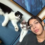domino_truffle profile picture