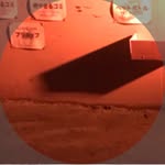 donburignon profile picture