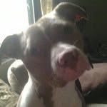 donnajenkins1226 profile picture
