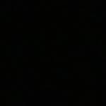 donnikaa profile picture