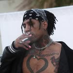 dontcalldom profile picture